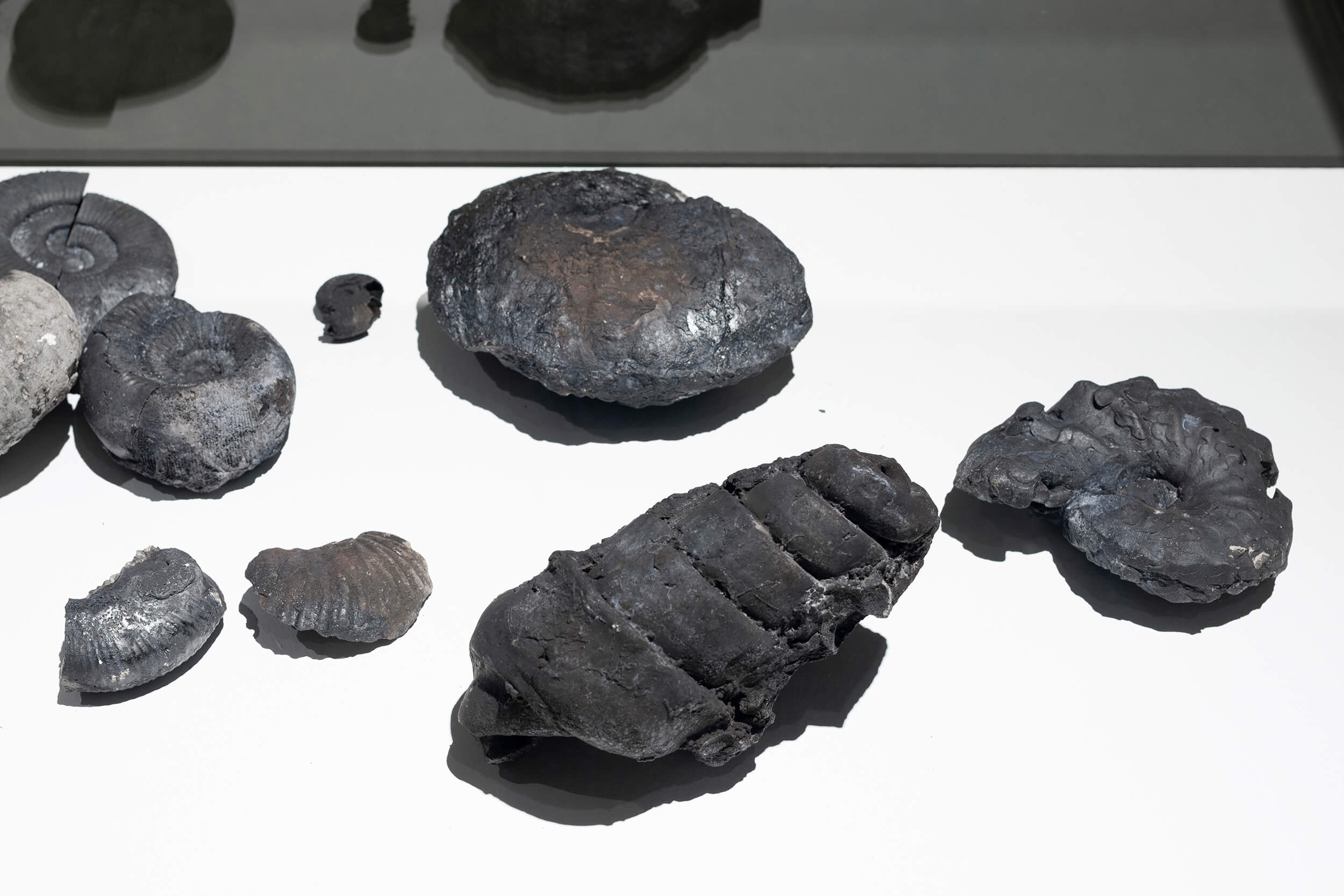 Souvenirs of Fire